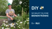 thumbnail of medium DIY Bienentränke bauen